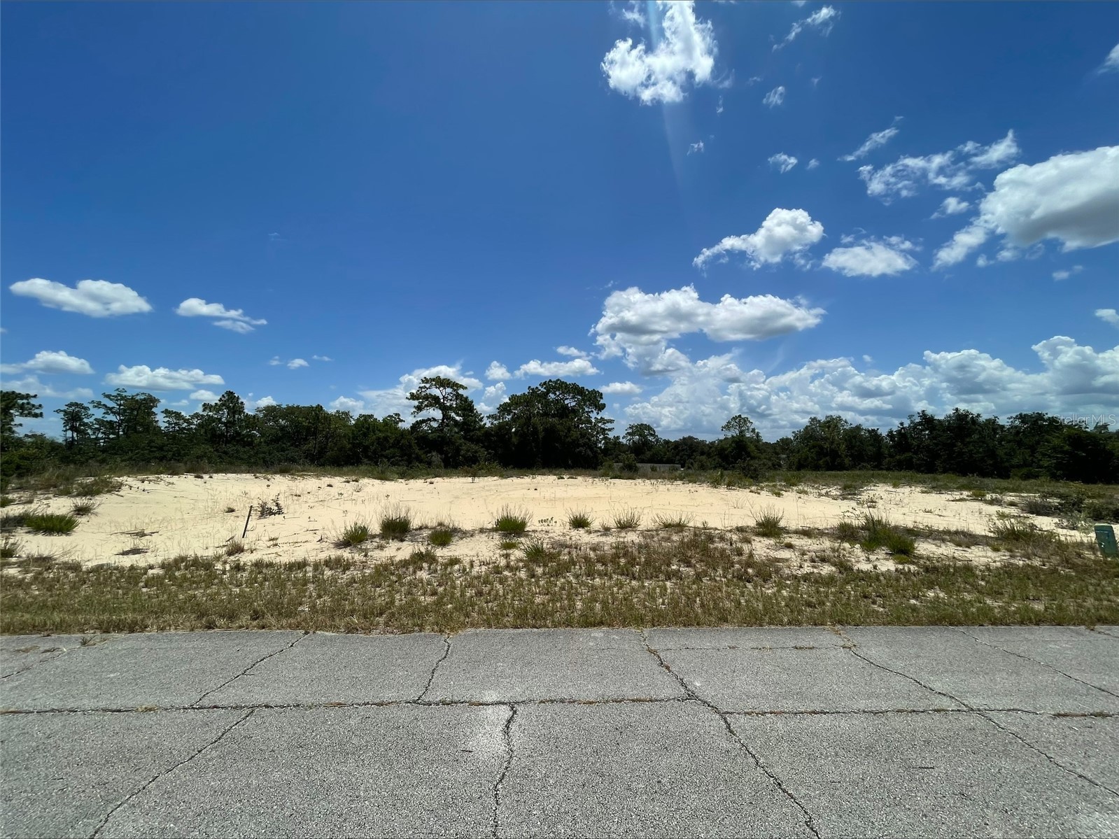 1344 HOMOSASSA COURT