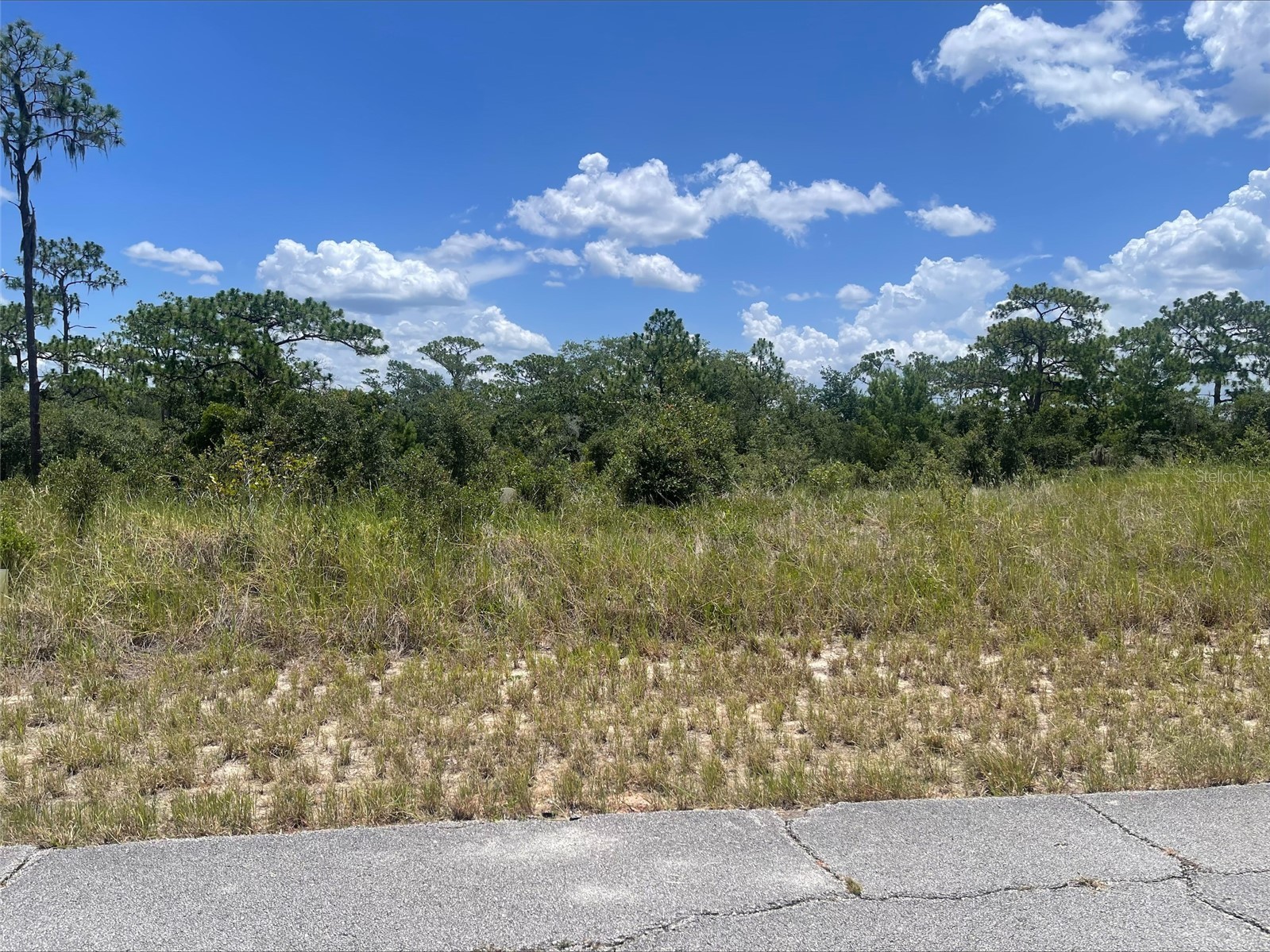 1340 HOMOSASSA COURT