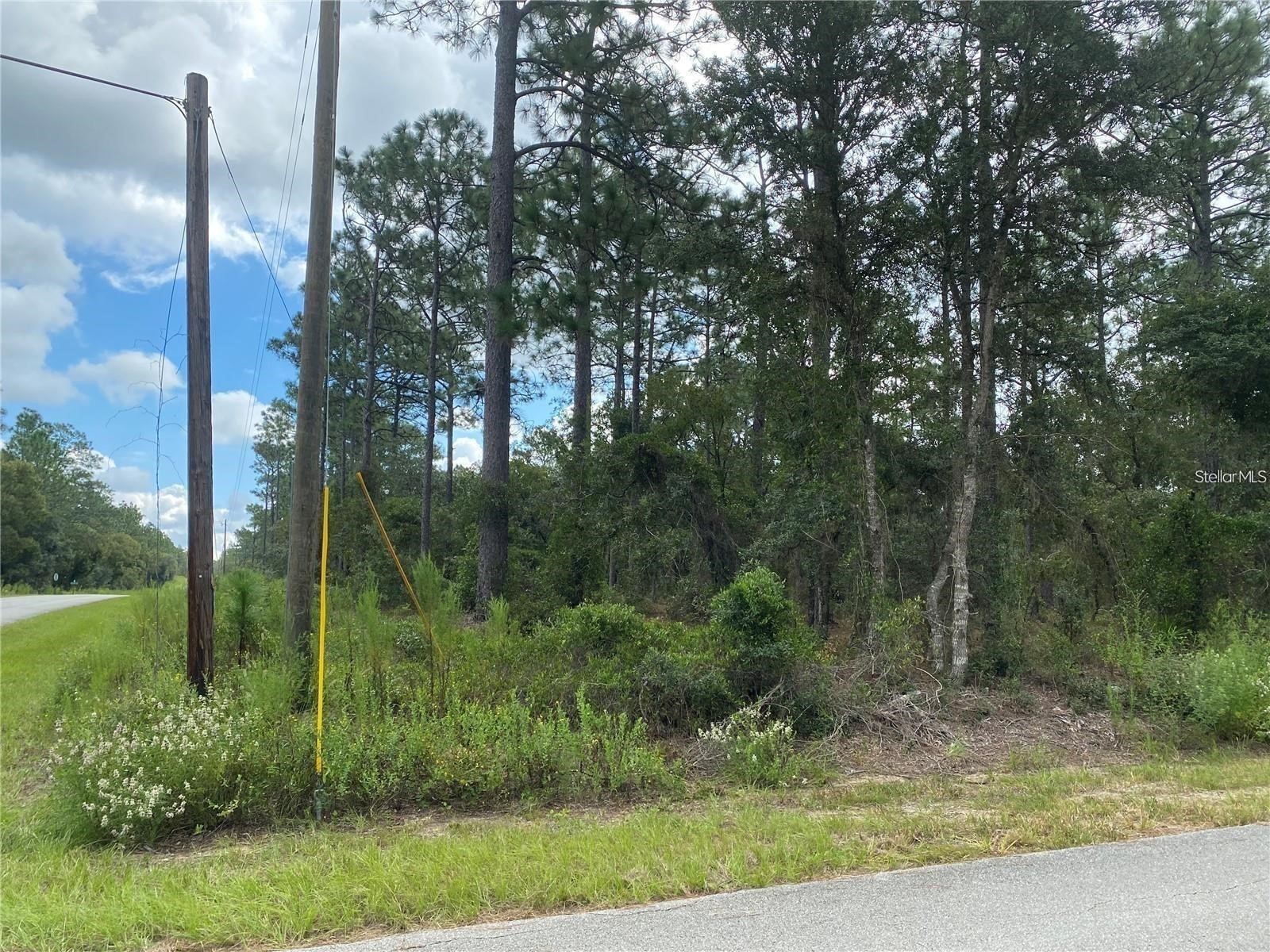 00 SW BUENA VISTA ROAD
