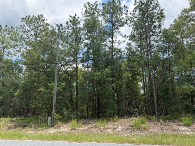 1982 W ROSEBORO DRIVE
