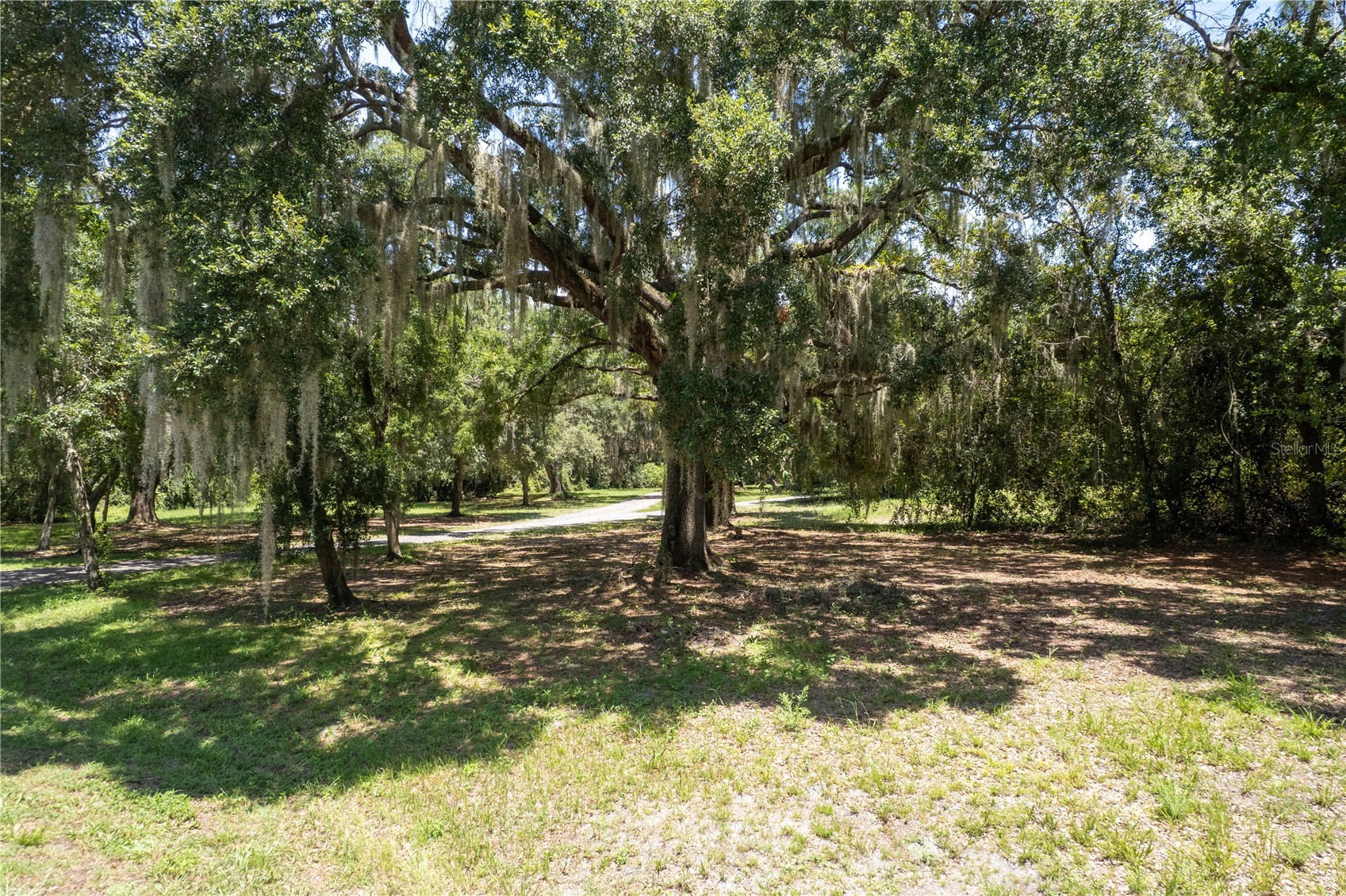 2951 SEMINOLE ROAD
