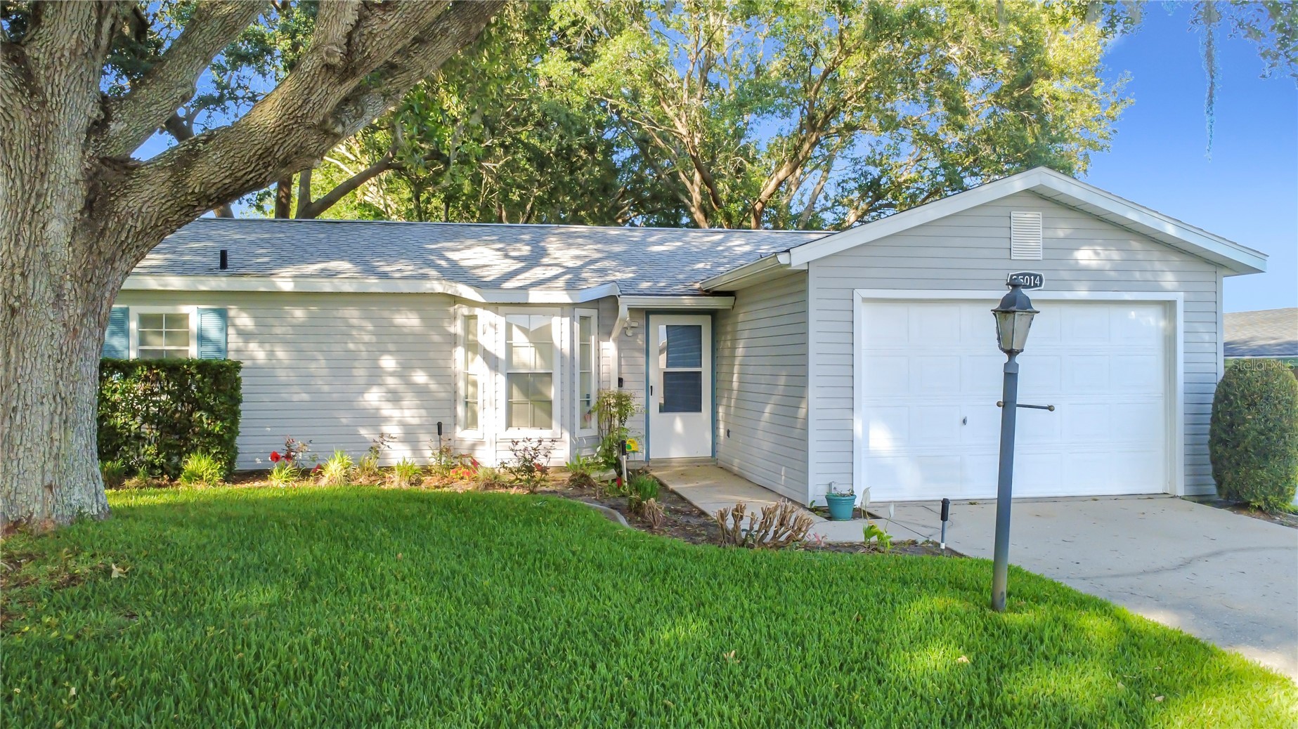 25014 PINE HILL