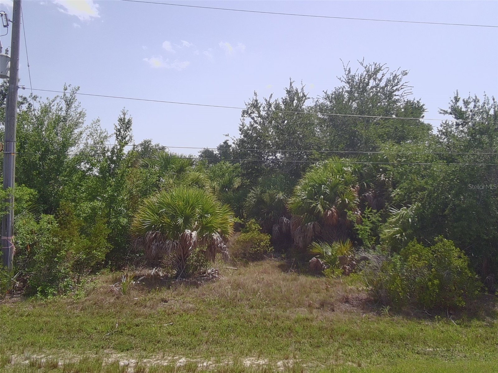 8089 BOSCO ROAD