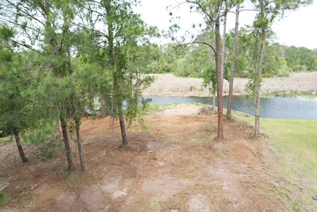 LOCUST RUN DRIVE
