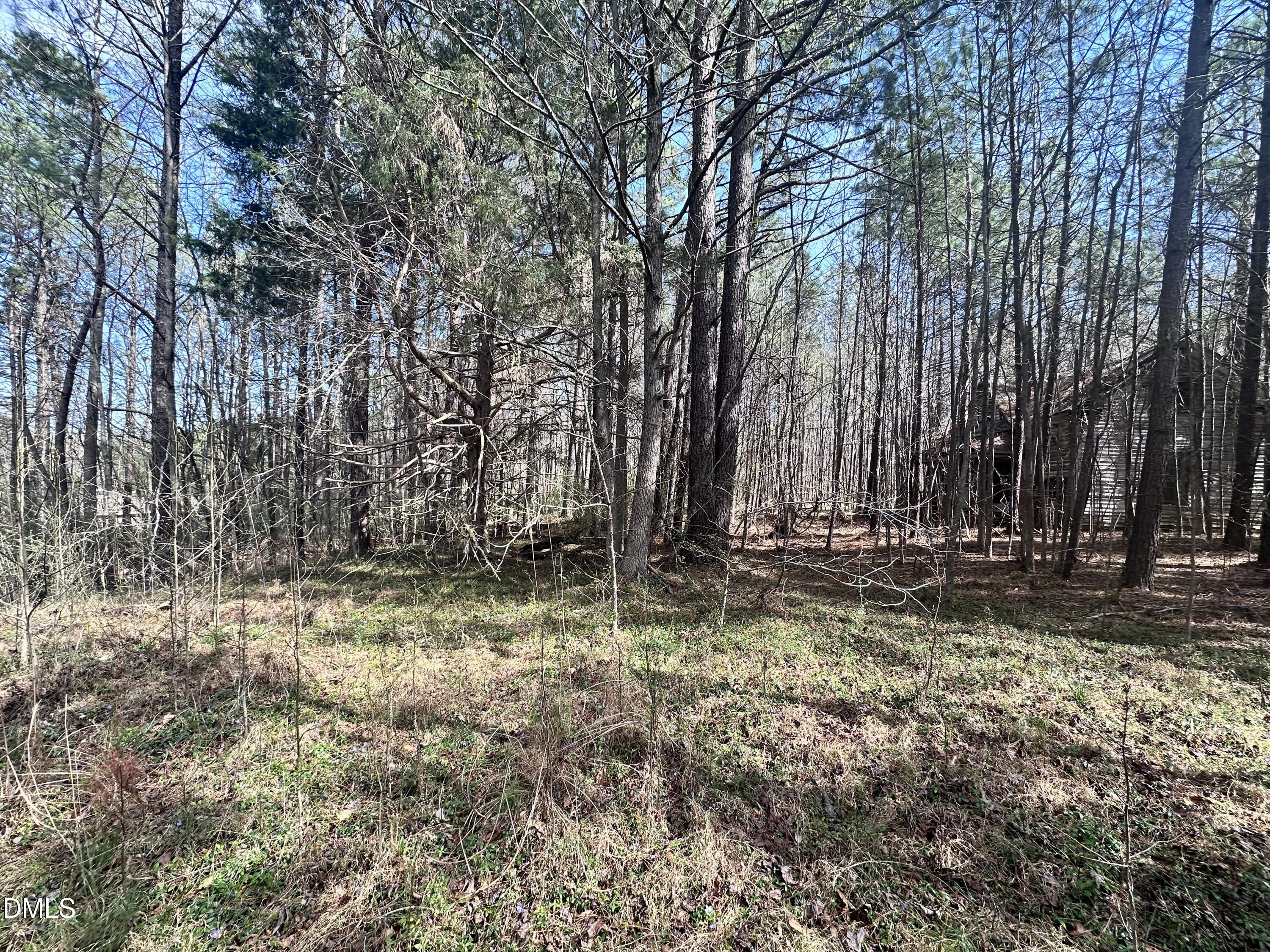 0 Pleasant Hill Church Road, Siler City, NC 27344