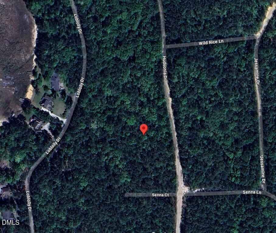 862 Hudsonia Drive, Vass, NC 28394