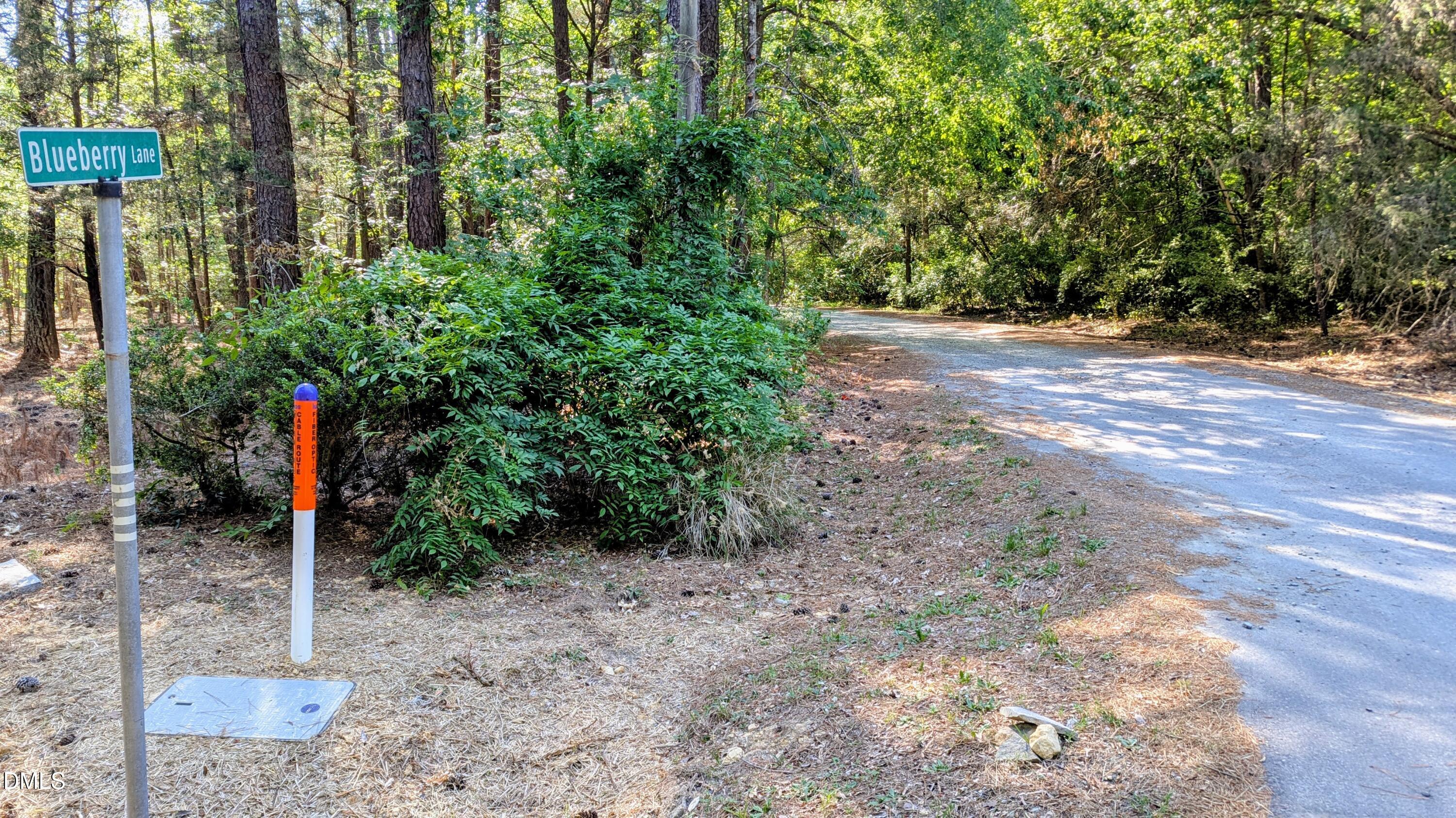Lot 1 Blueberry Lane, Chapel Hill, NC 27516