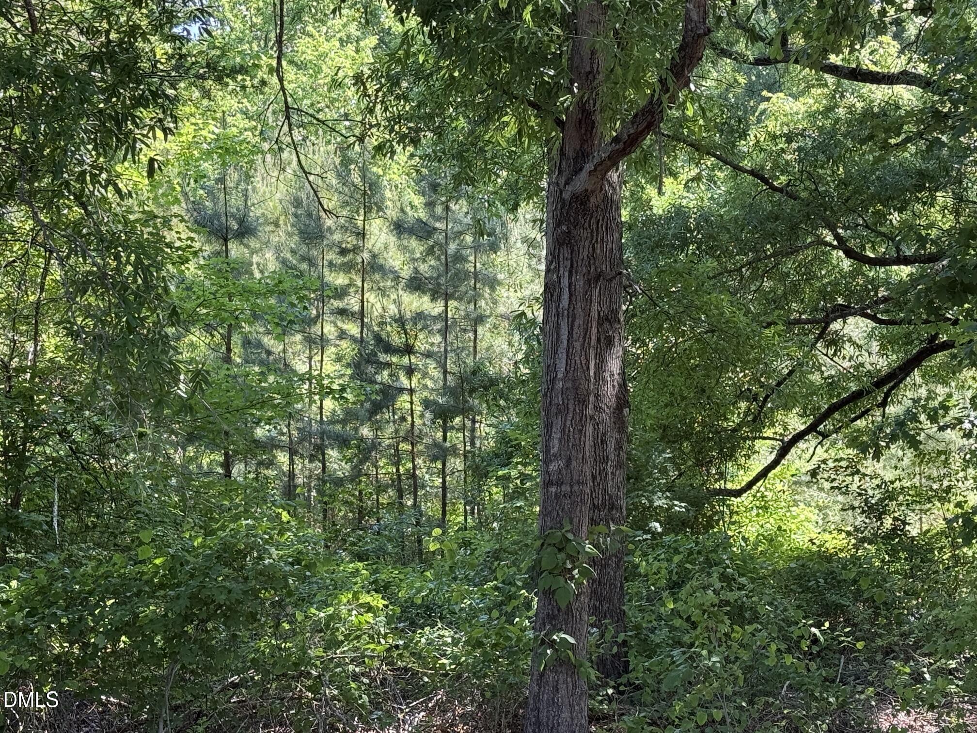 1.5 Ac Lot Country Club Road, Roxboro, NC 27574
