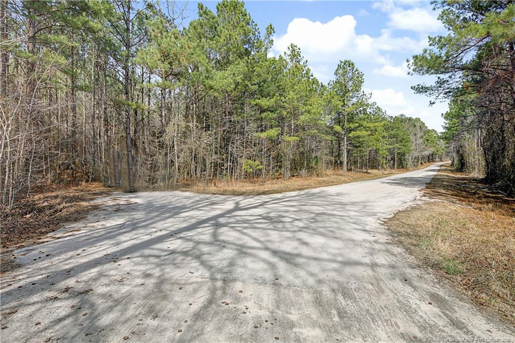 632 Creeksville Church Road, Spring Lake, NC 28390