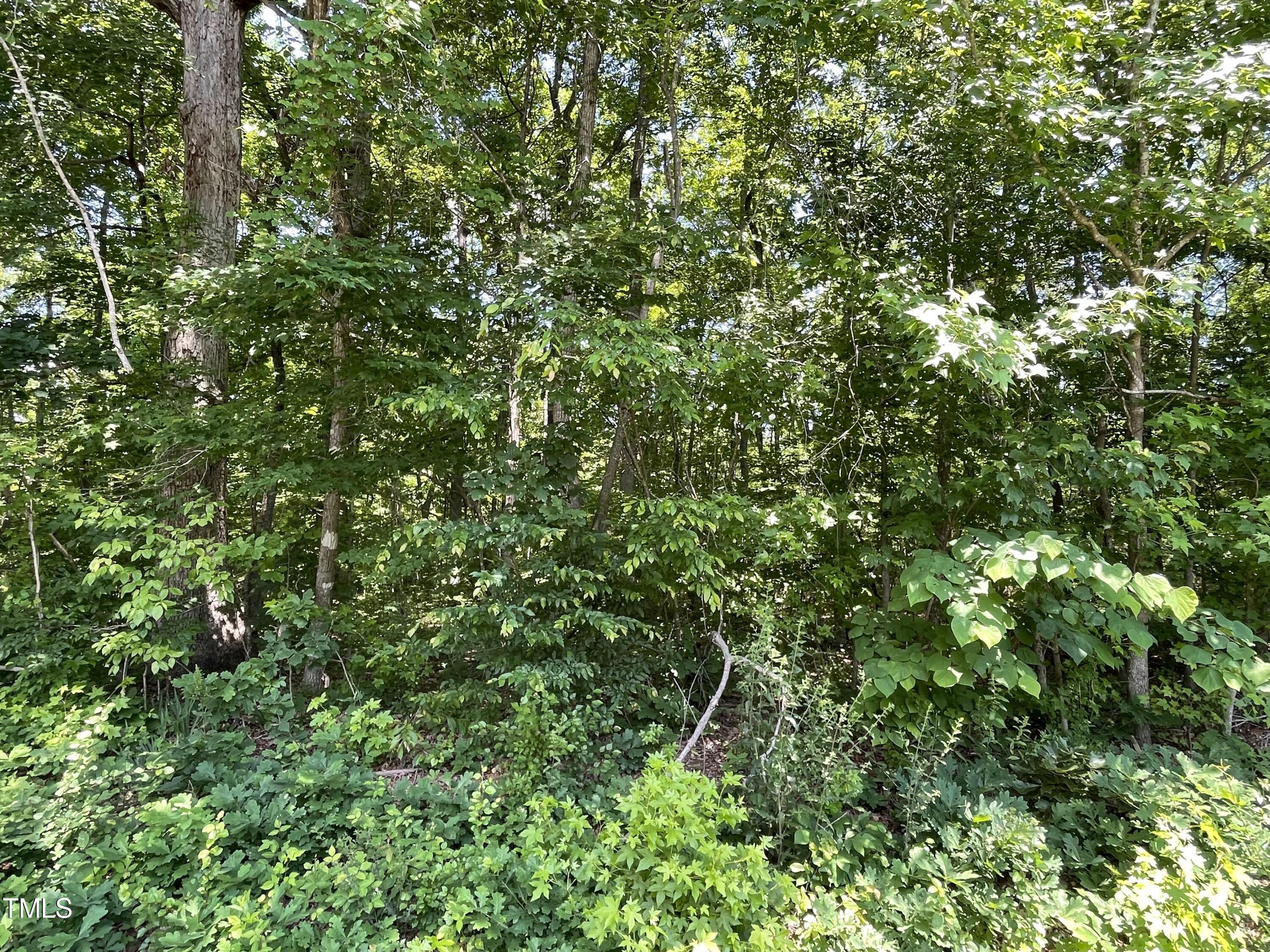 0000-1 Shady Lane, Burlington, NC 27217