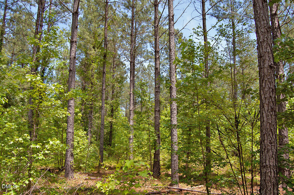 N G F Ball Road, Louisburg, NC 27549