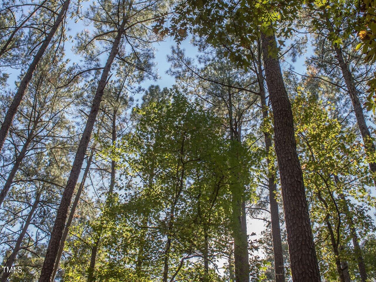 151 Swan Lake, Chapel Hill, NC 27517