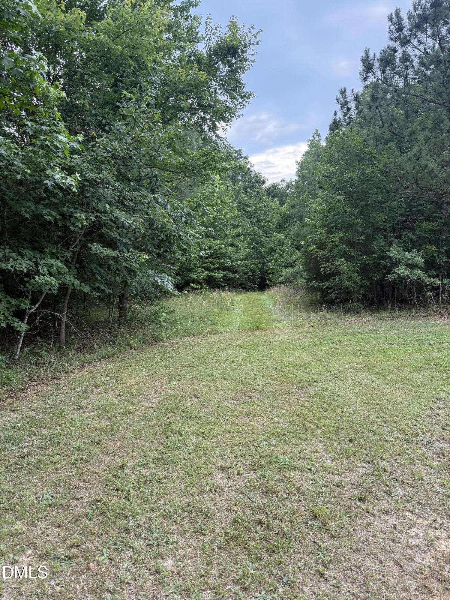 245 Brandon-kelsey Drive, Siler City, NC 27344