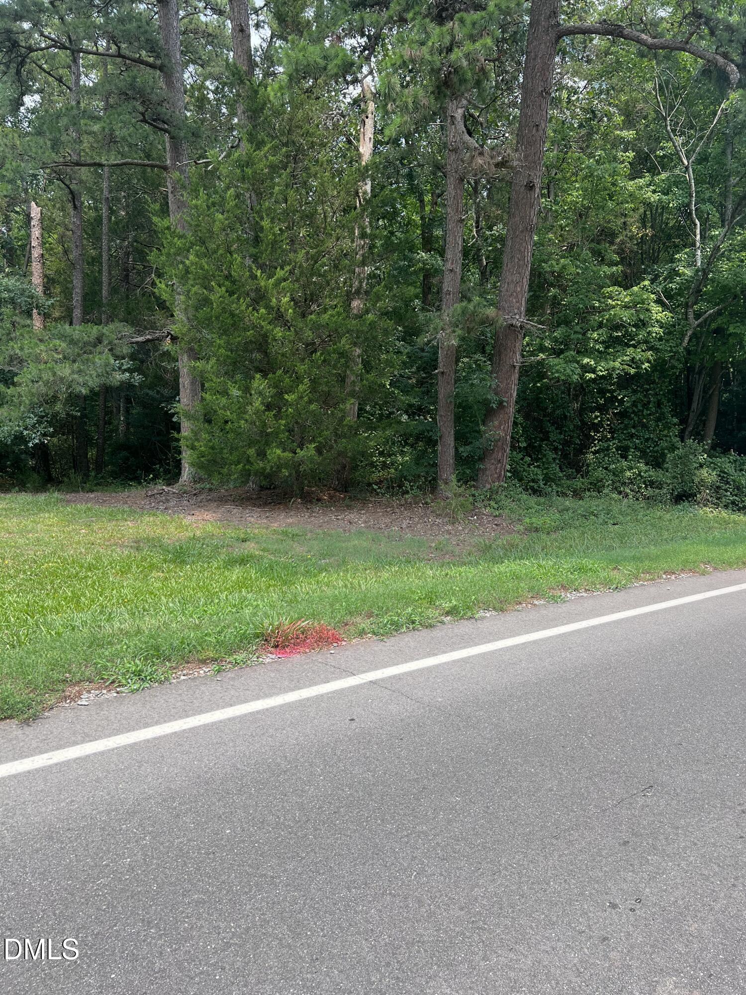 Lot 1 Elmer Moore Road, Siler City, NC 27344