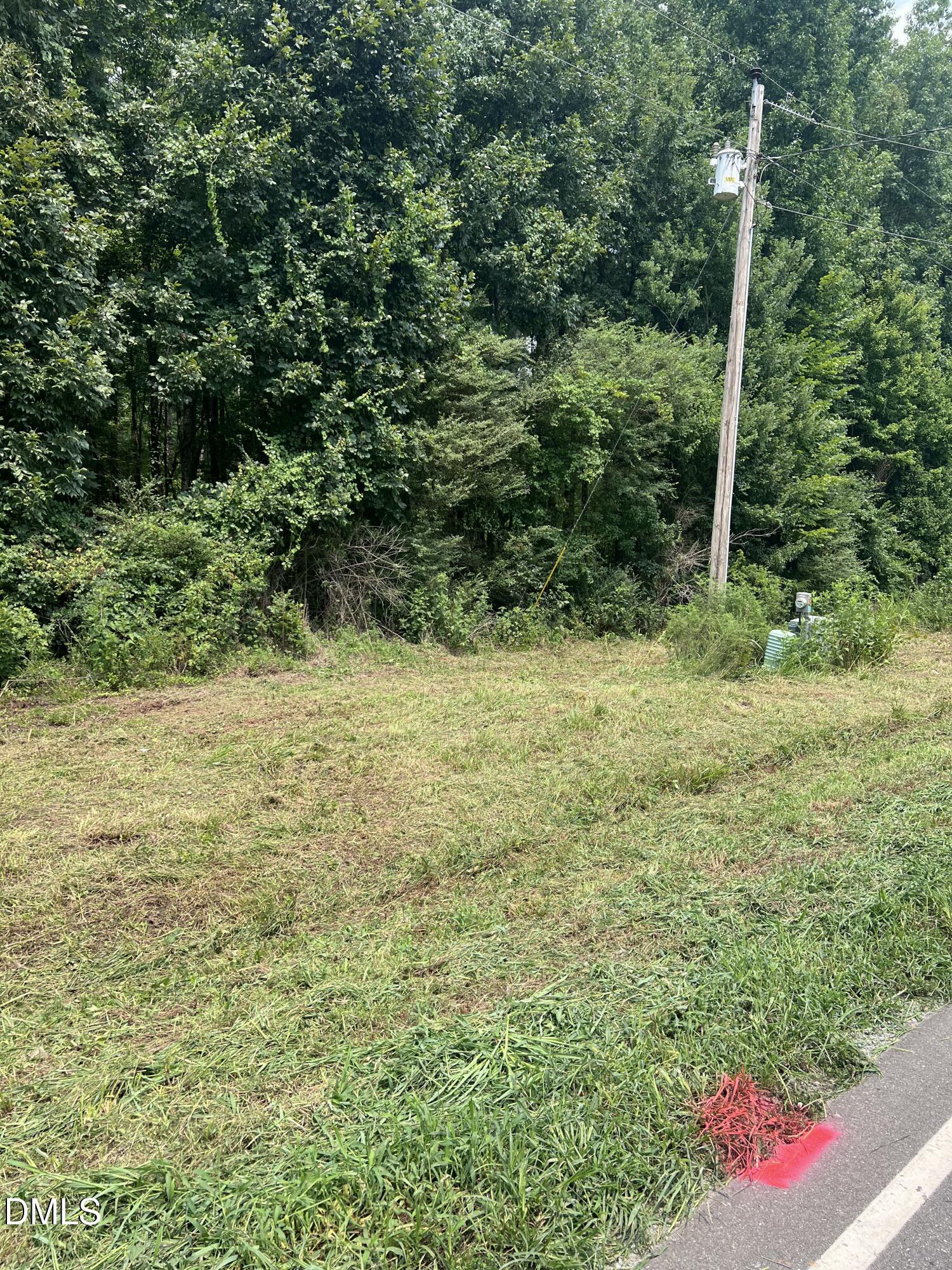 Lot 4 Elmer Moore Road, Siler City, NC 27344