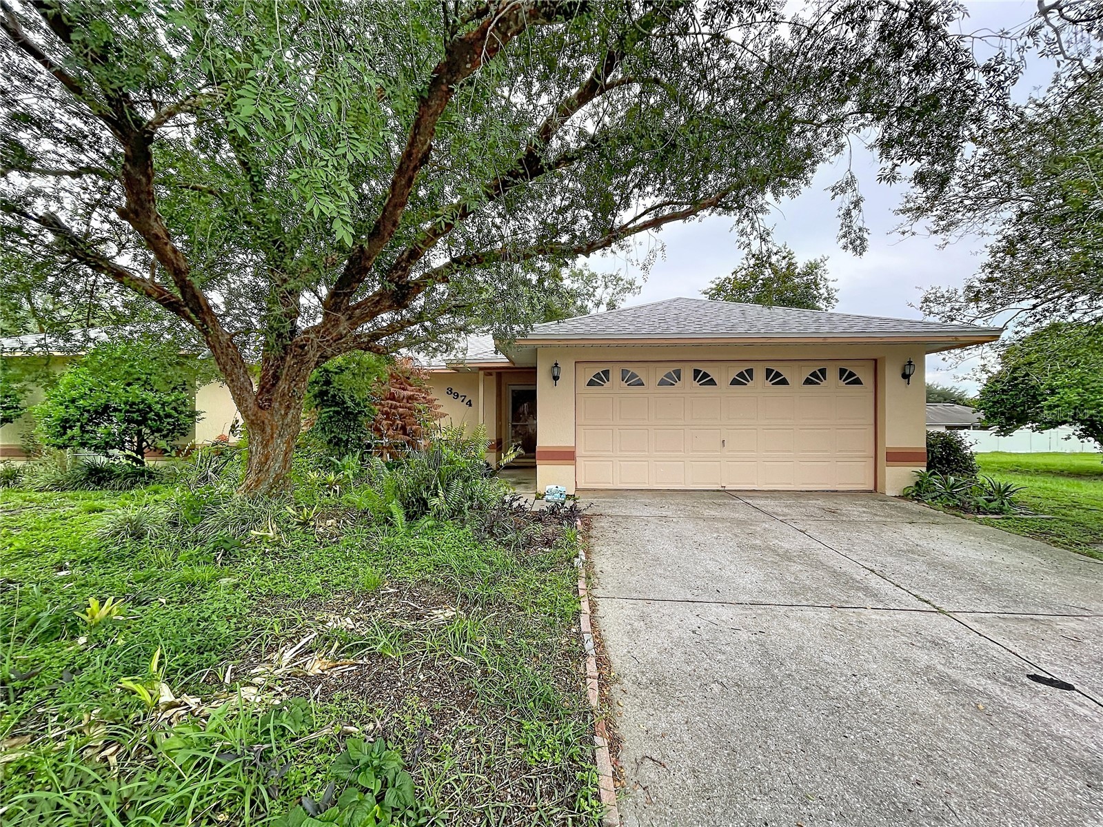 3974 LIME TREE LANE