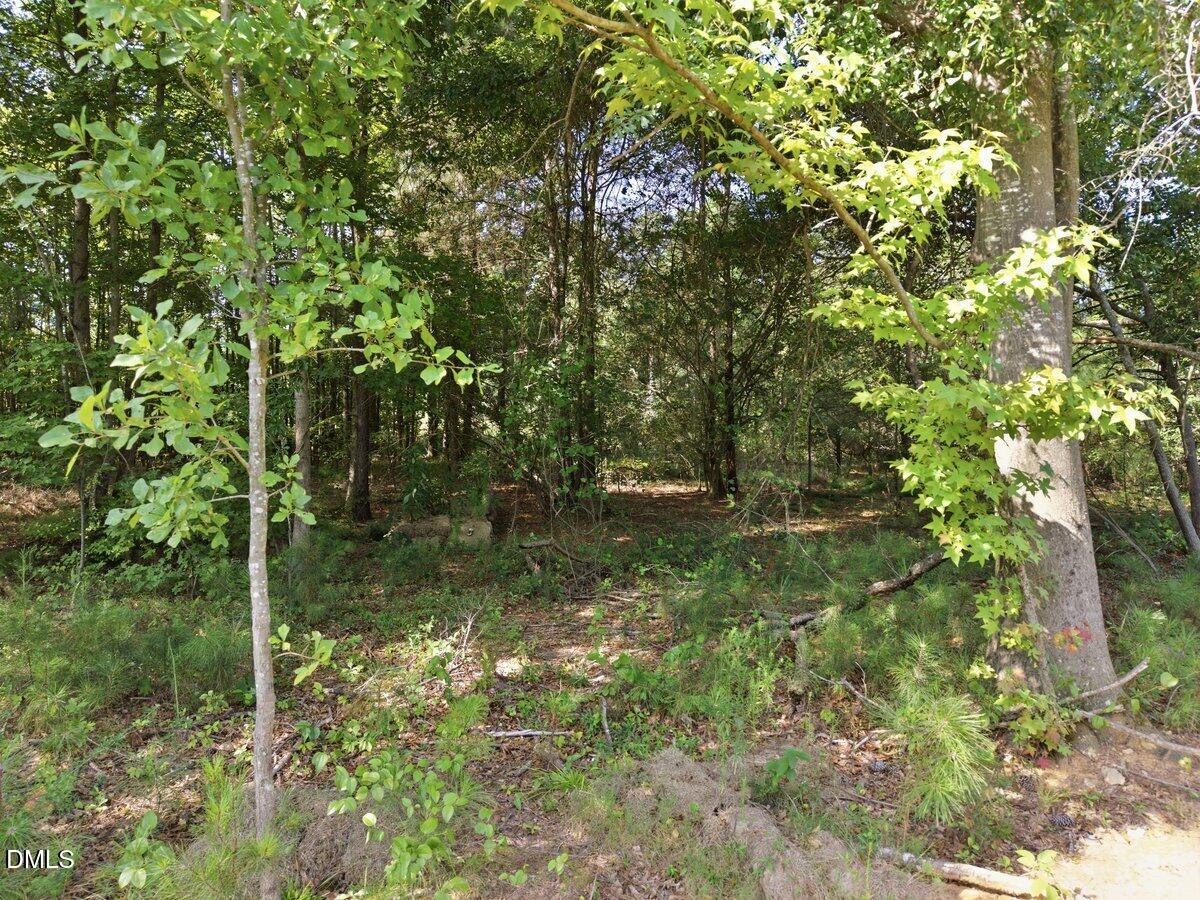 331 Meadow Walk Drive, Fuquay Varina, NC 27526