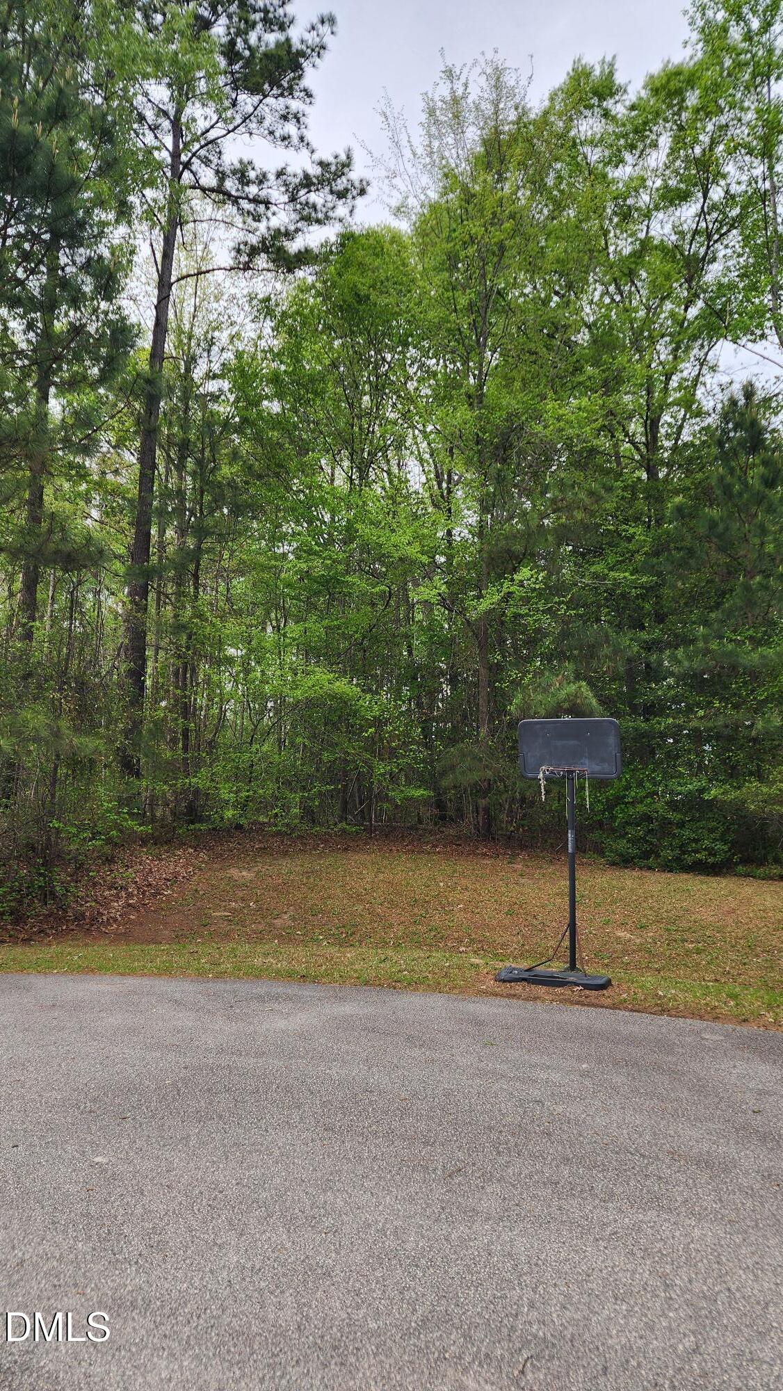 126 W Silver Belle Drive, Zebulon, NC 27597