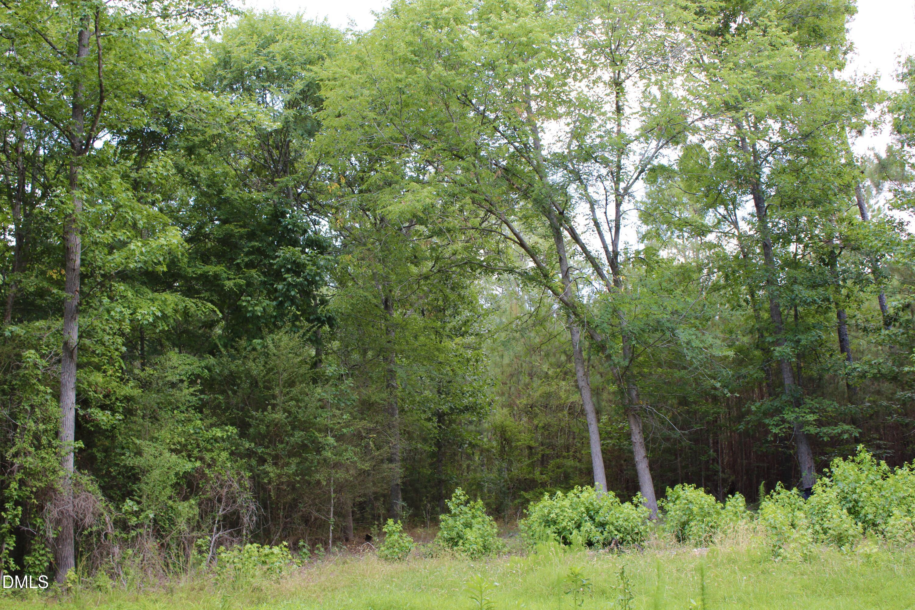 1920 Alston Chapel Road, Pittsboro, NC 27312