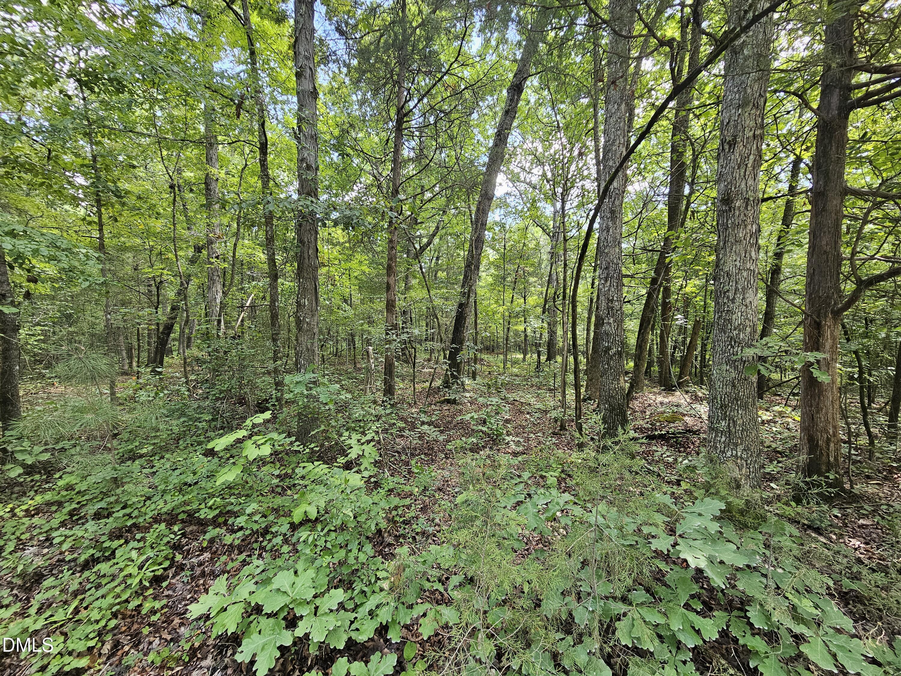 625 Harts Creek Drive, Pittsboro, NC 27312