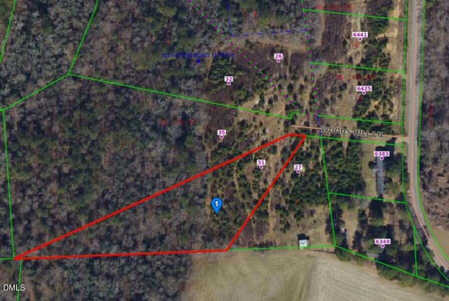 31 Woods Hill Lane, Benson, NC 27504