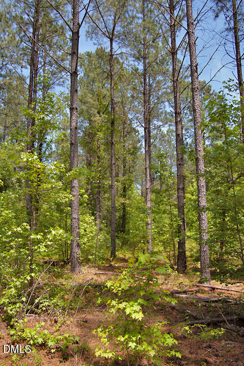 G G F Ball Road, Louisburg, NC 27549