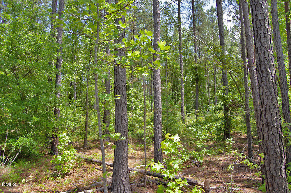 F G F Ball Road, Louisburg, NC 27549