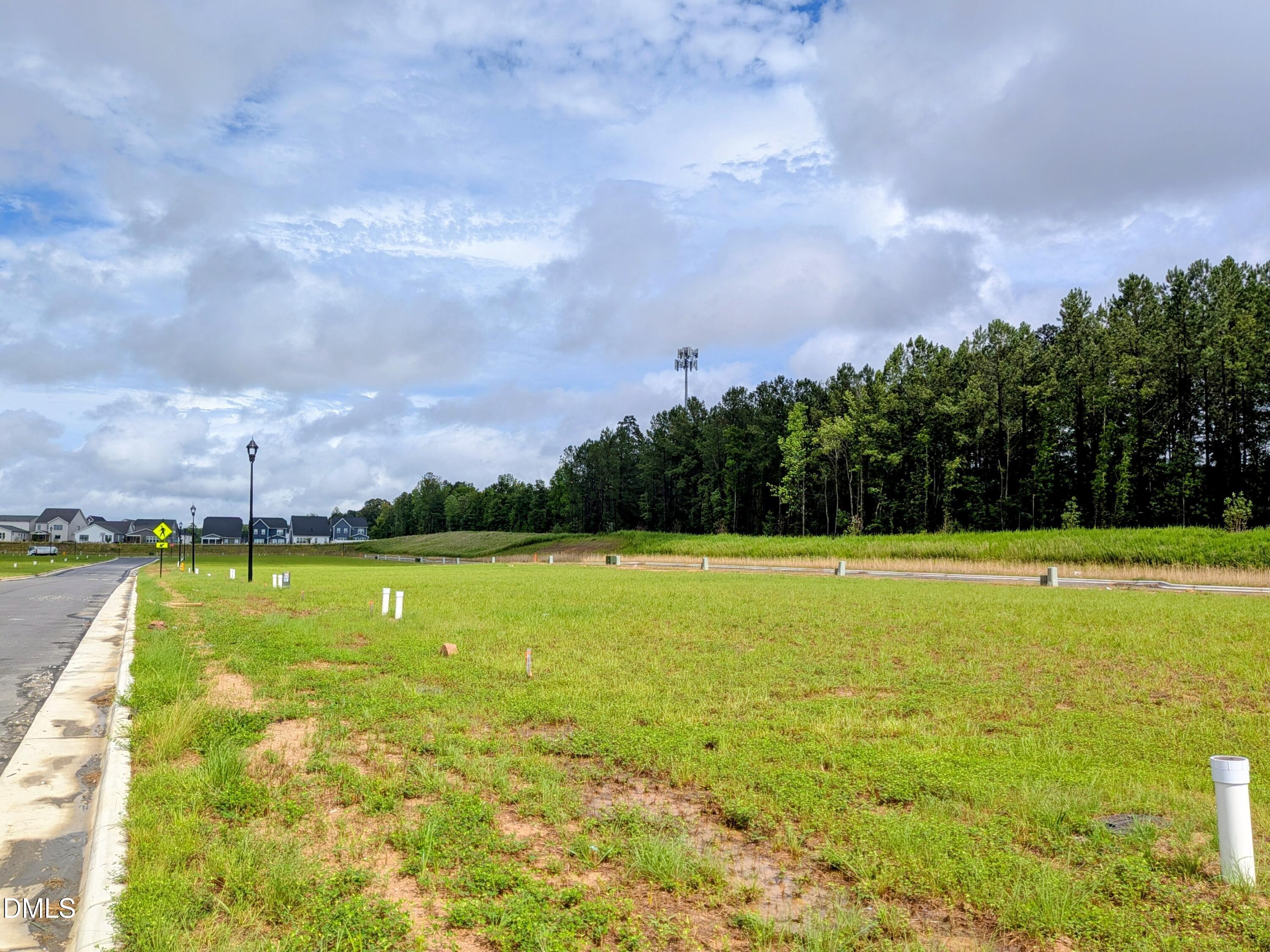 1816 Avett Song Place, Wendell, NC 27591