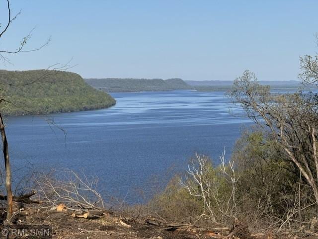 N3463 E Bluff Lane, Stockholm, WI 54769