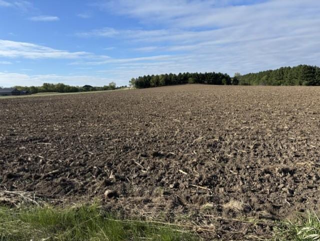 TBD Pine Bluff (site 15) Road NW, Pine Island, MN 55963