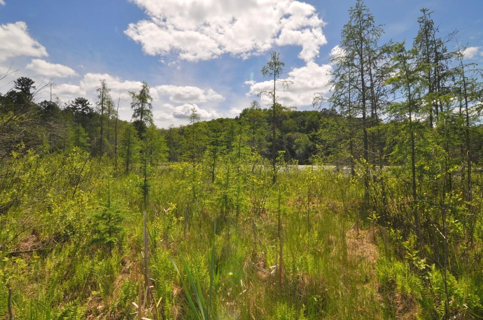 Lot 2 Evening Vista Trail NW, Shingobee Twp, MN 56433