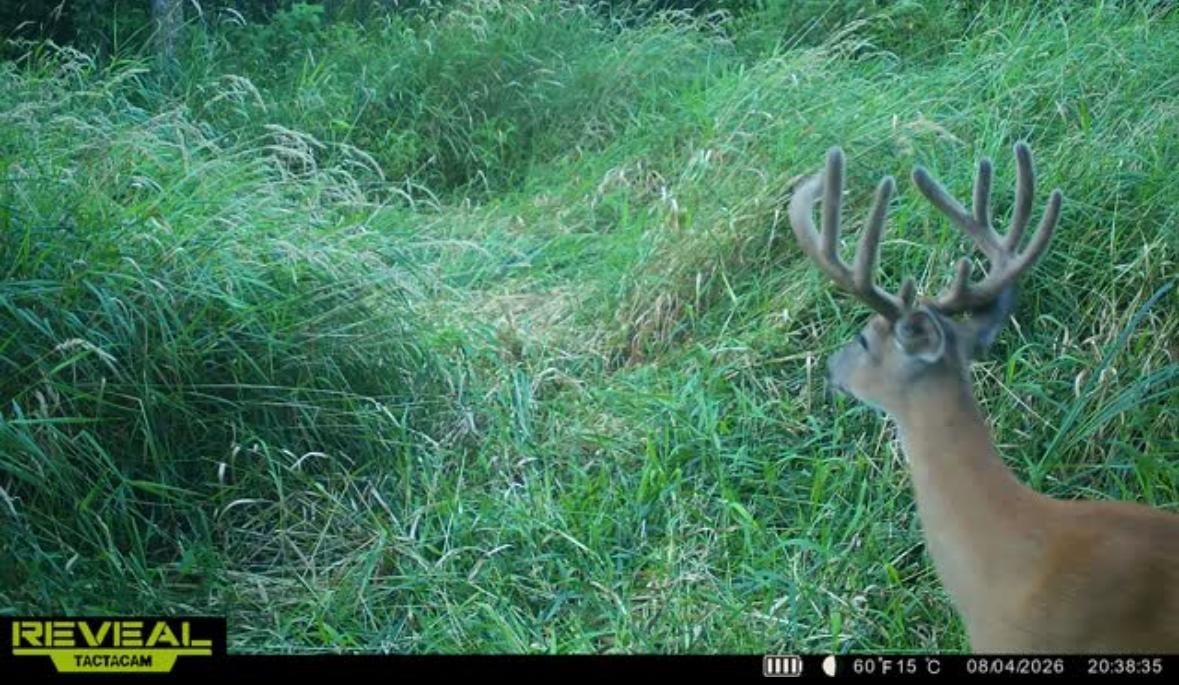 TBD 30th Ave, Isle, MN 56342