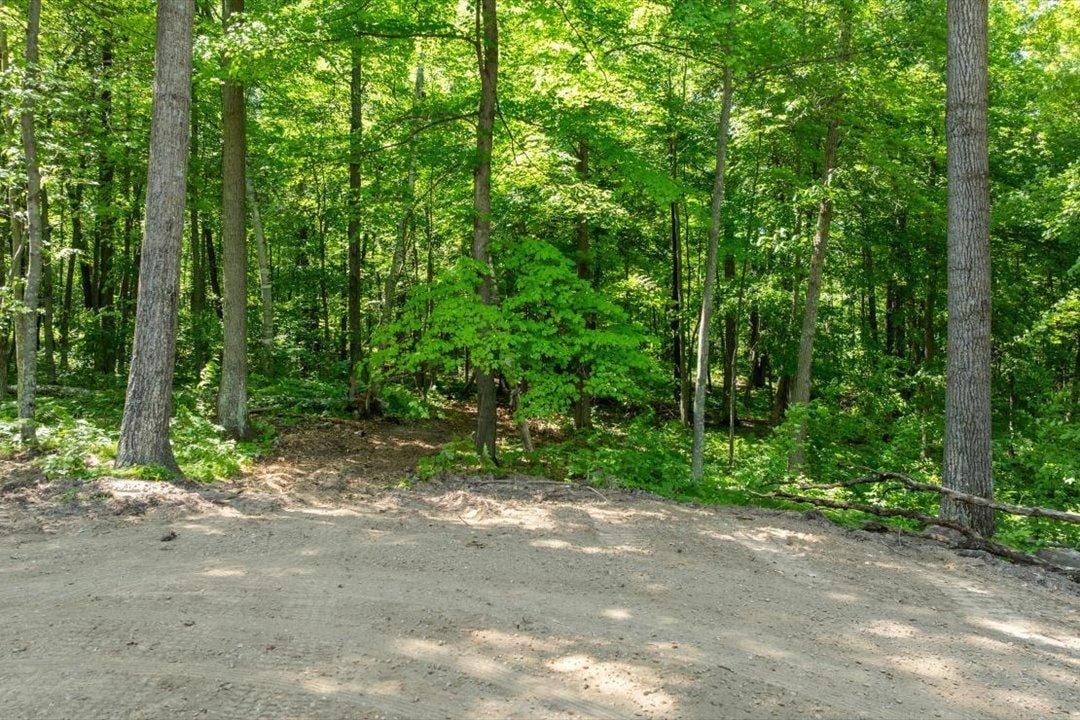 TBD Lot C Hidden Pond Lane, Pequot Lakes, MN 56472