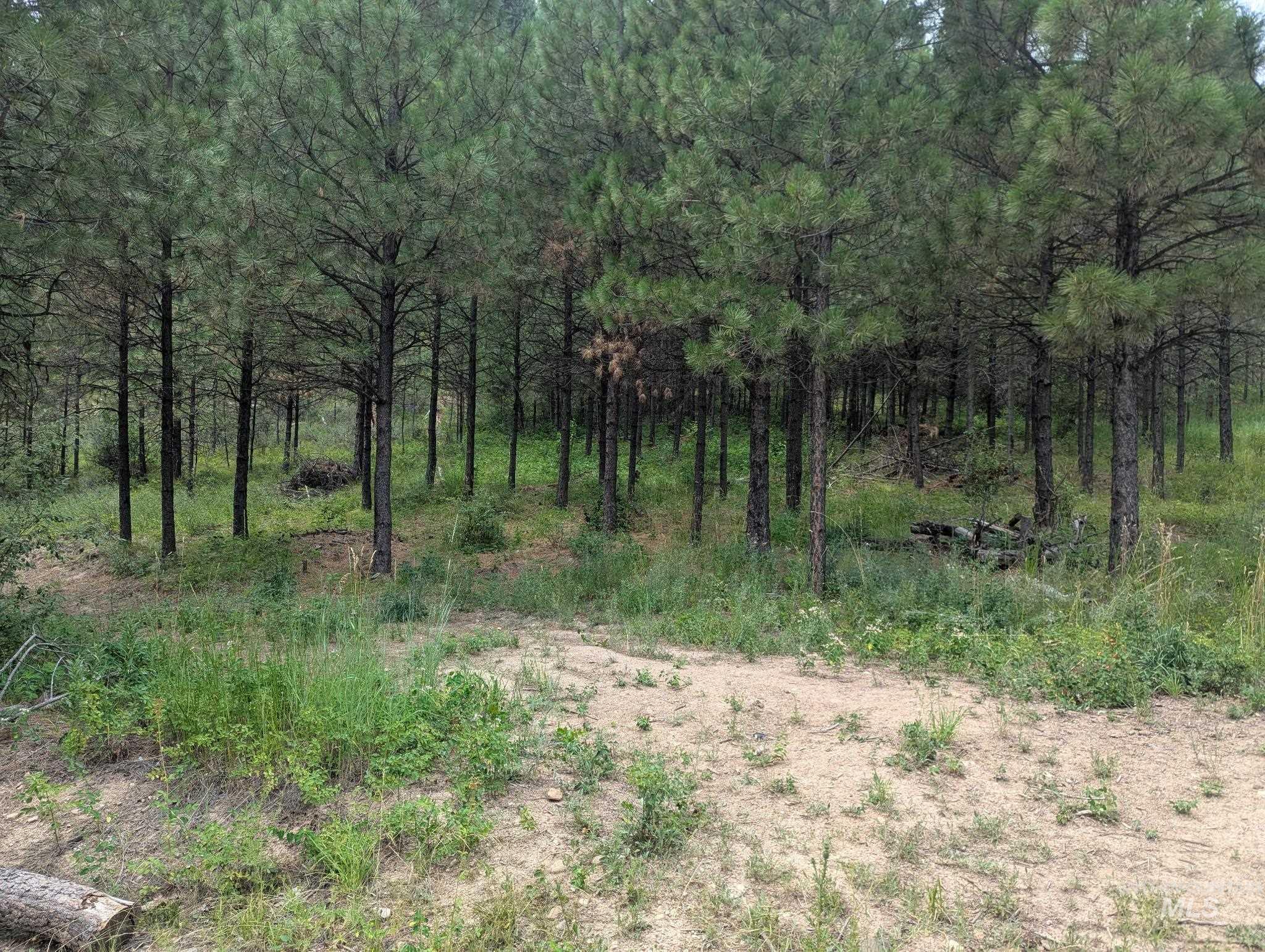 Lot 4 Plateau Rd, Lowman ID 83637