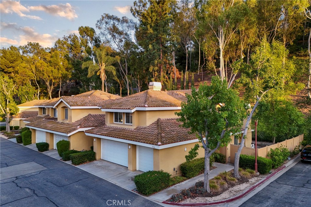1808 Borrego Drive