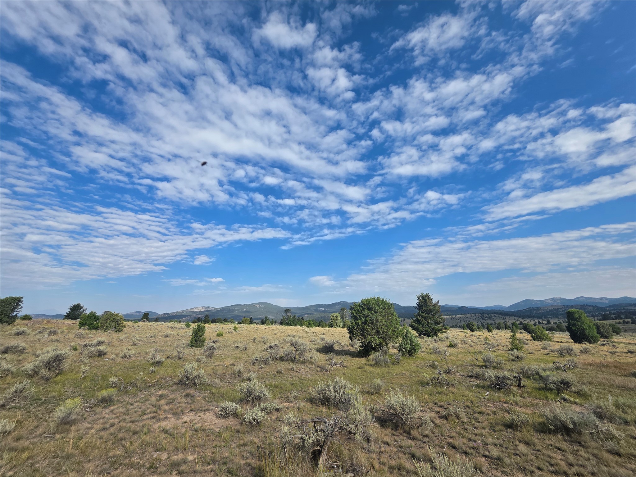 NhN Prevost Trail