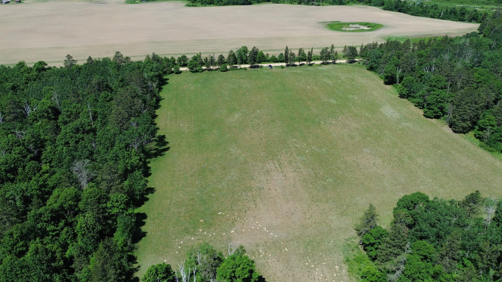 XXXX 159th Avenue, Sebeka, MN 56477