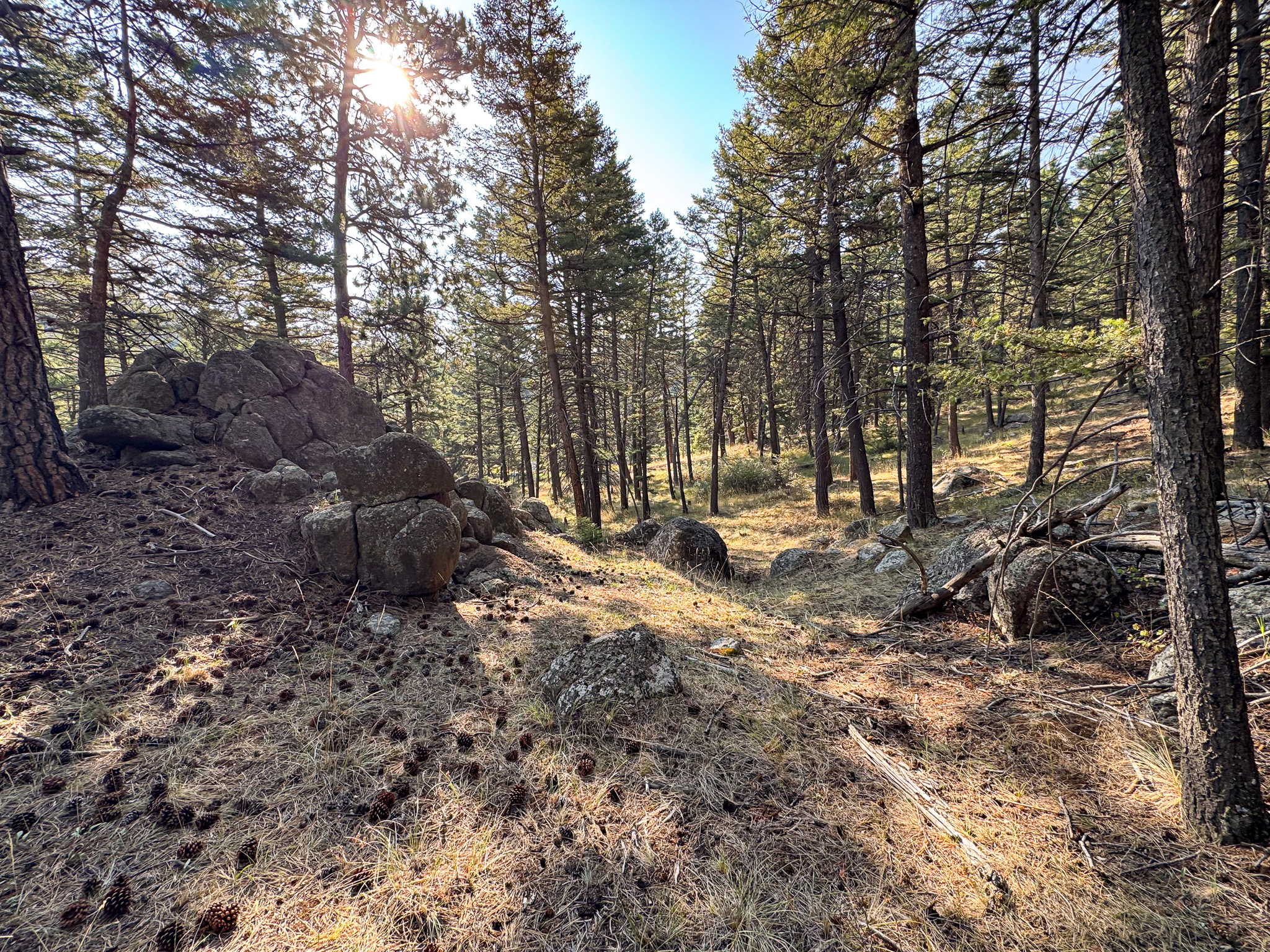 93 Saddle Mountain Drive