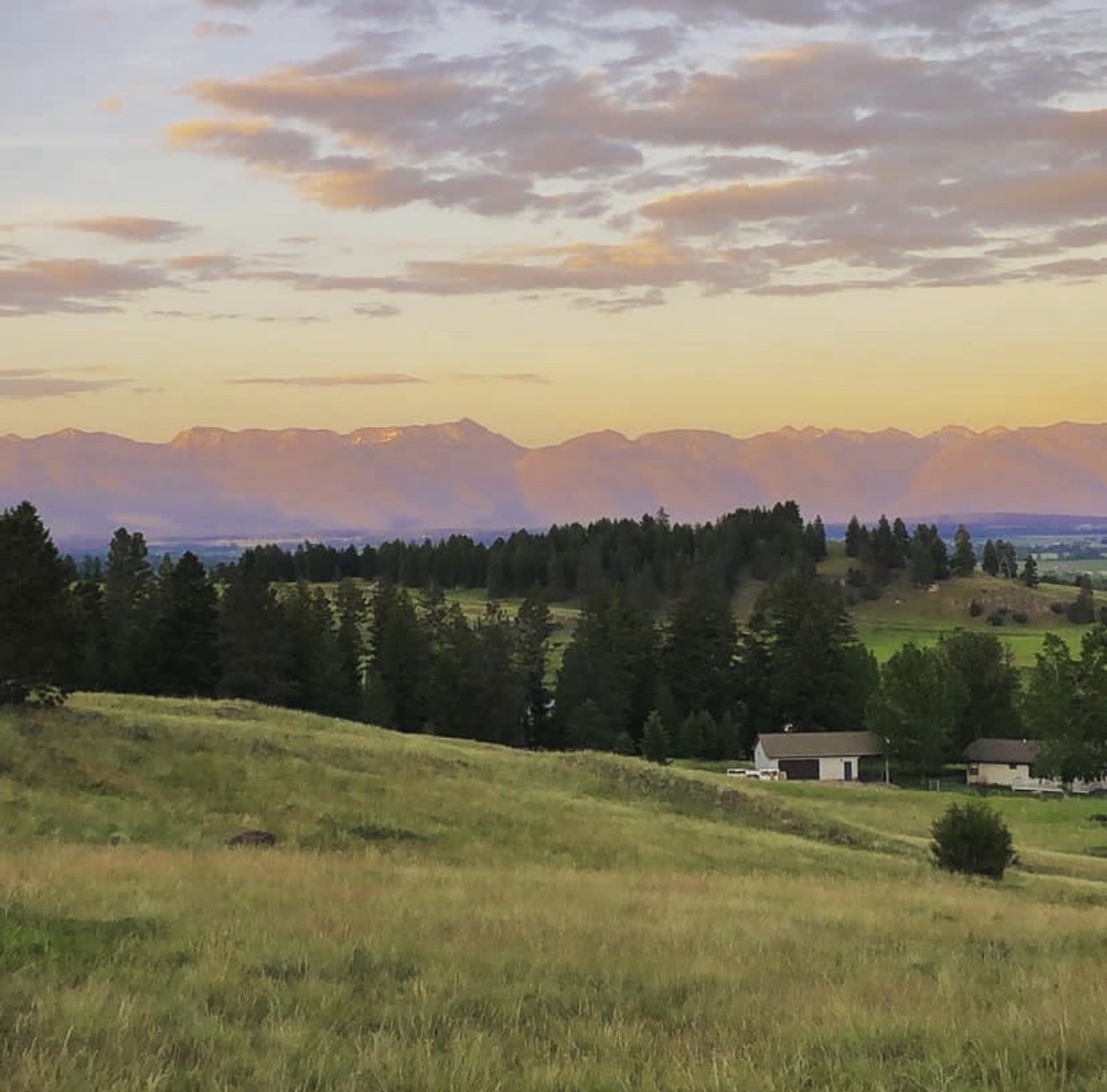 160 Brandy Lane