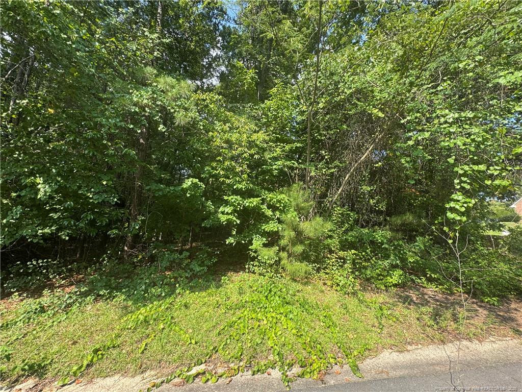 0 Stonington Drive, Fayetteville, NC 28311