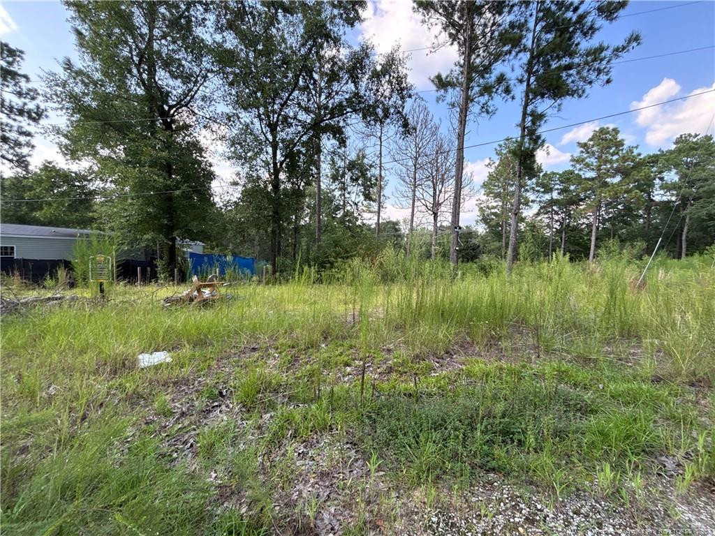 813 813 Wiregrass Road, Hamlet, NC 28345