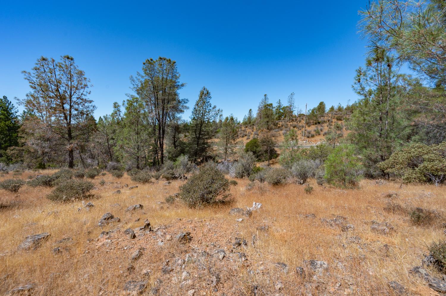 10779 Newtown Rd, Nevada City, CA 95959-9053