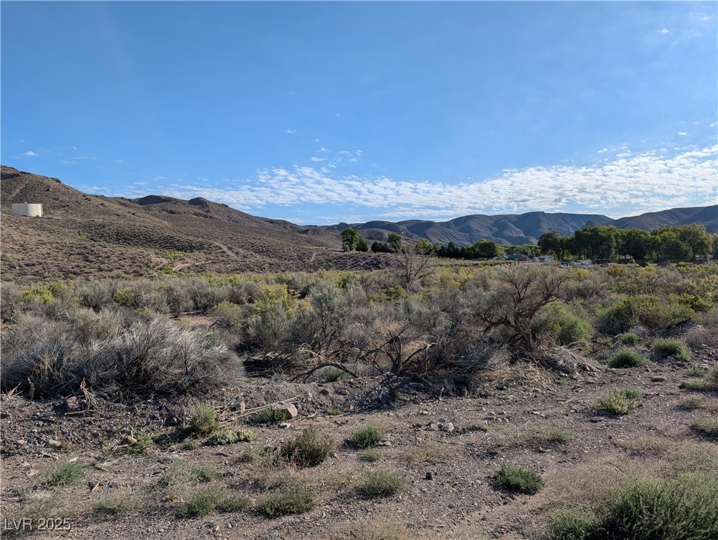 US Hwy 93 (19.14 Ac)