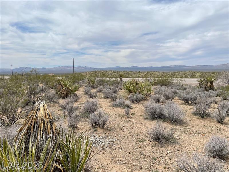 US 95