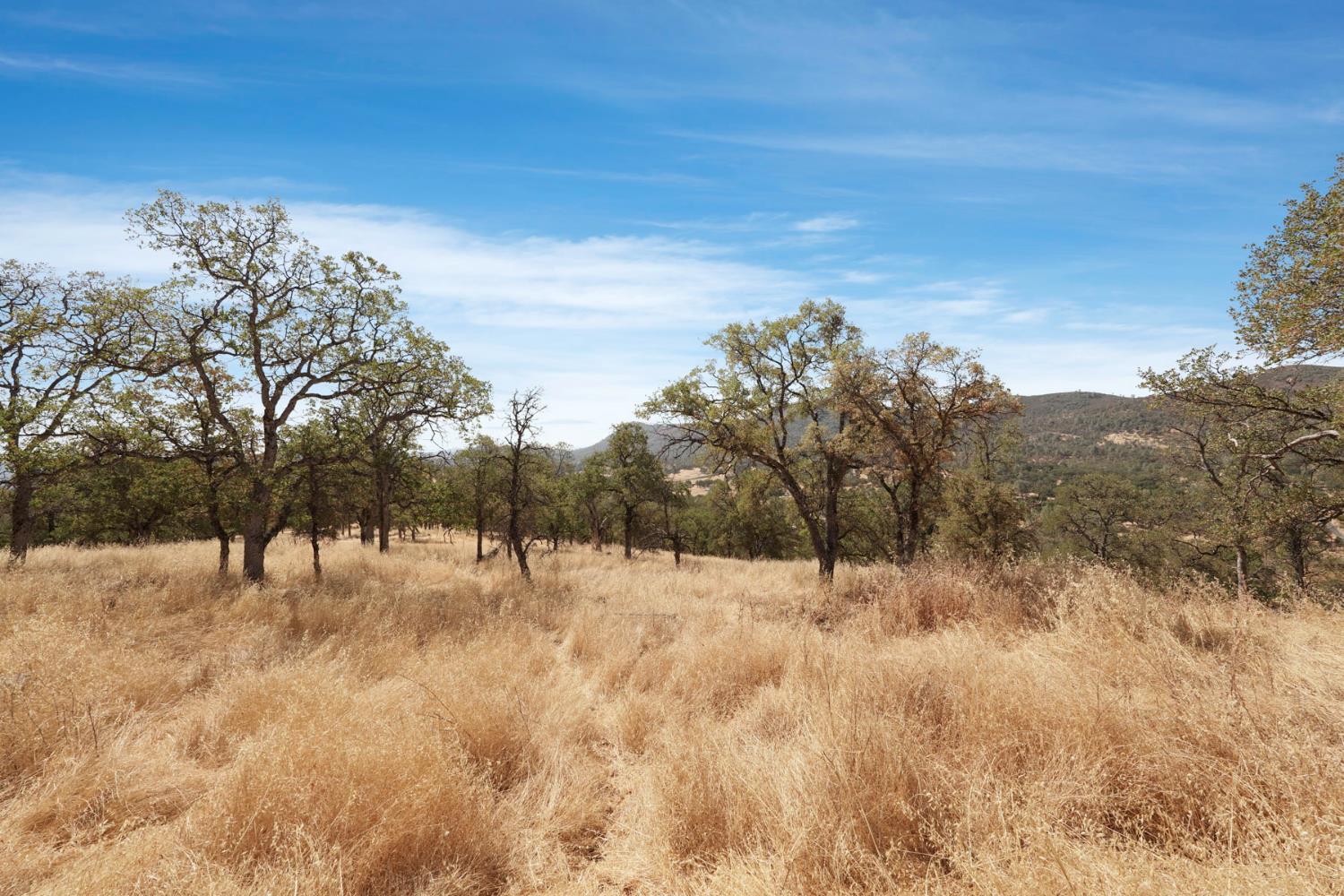 7425 Cincha St, Angels Camp, CA 95222-9611