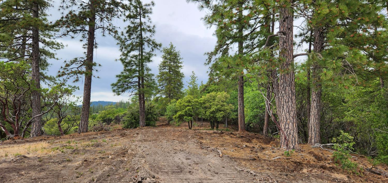 17631 Greenhorn Rd, Grass Valley, CA 95945-7803