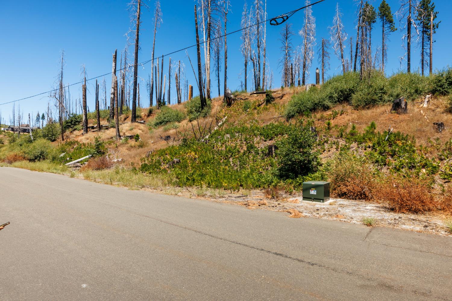 7191 Winding Way, Grizzly Flats, CA 95636-9788