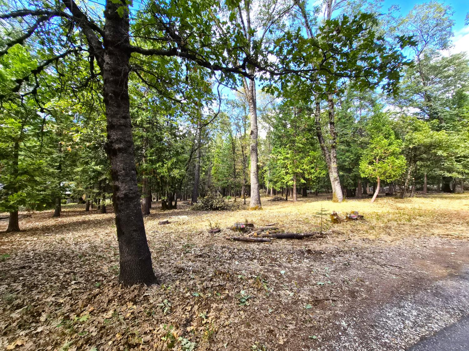 13117 Madrone Forest Dr, Nevada City, CA 95959