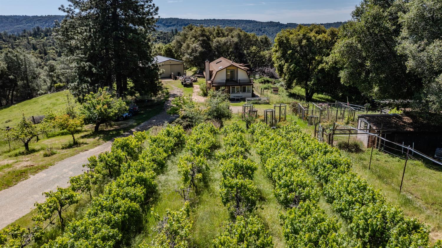 17800 Red Mule Rd, Fiddletown, CA 95629-9767