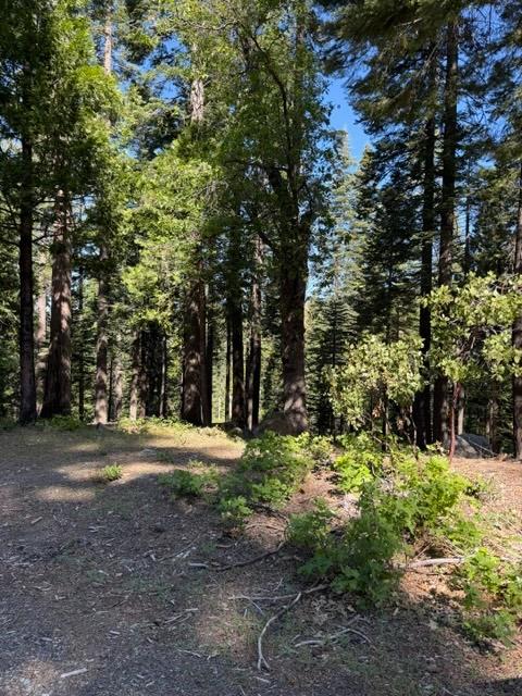 1619 Shoshone, Dorrington, CA 95223